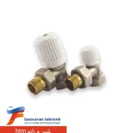 شیر و زانو htm